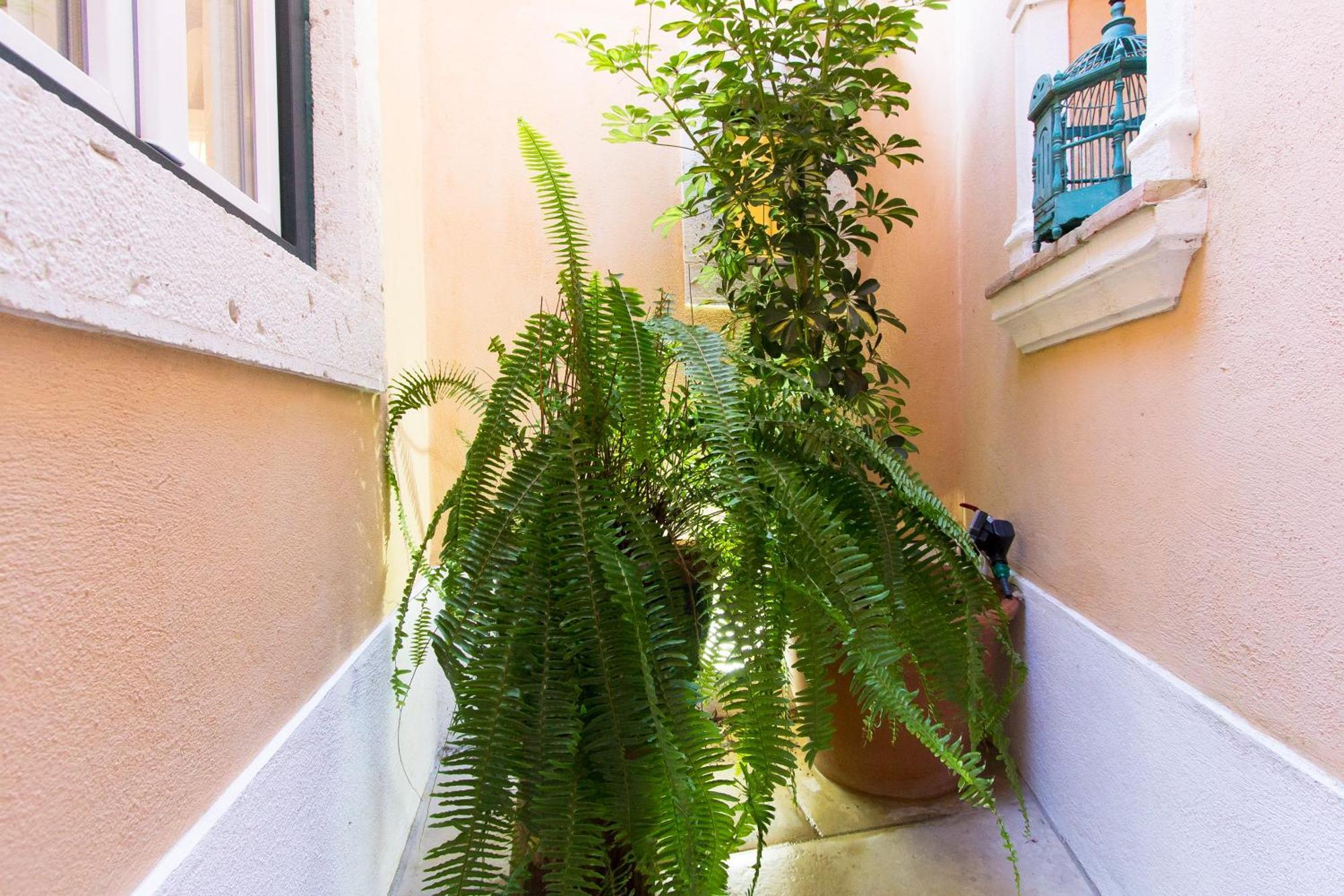 Villa Domingues Lissabon Buitenkant foto